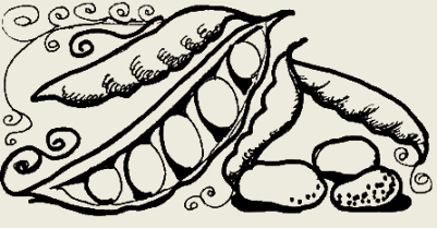 Фасоль раскраска