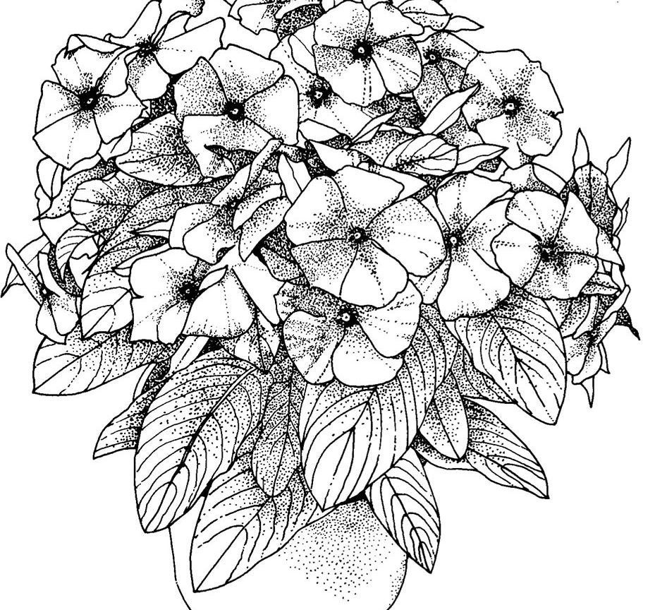Эскиз цветочной композиции
