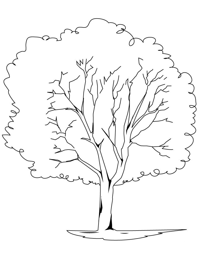 Дерево раскраска