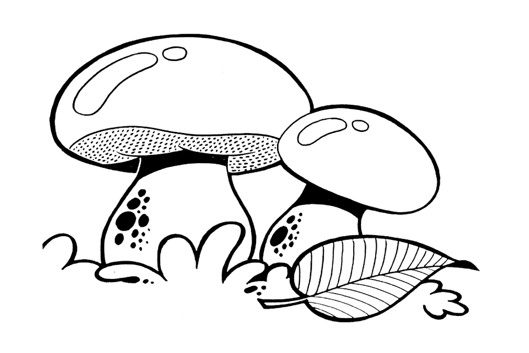 Трафареты грибов