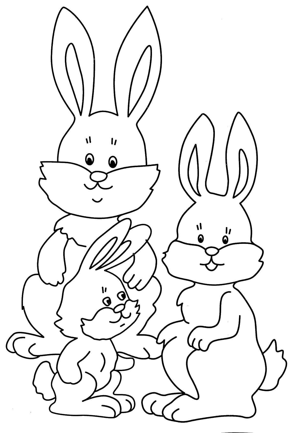 Заяц раскраска для малышей