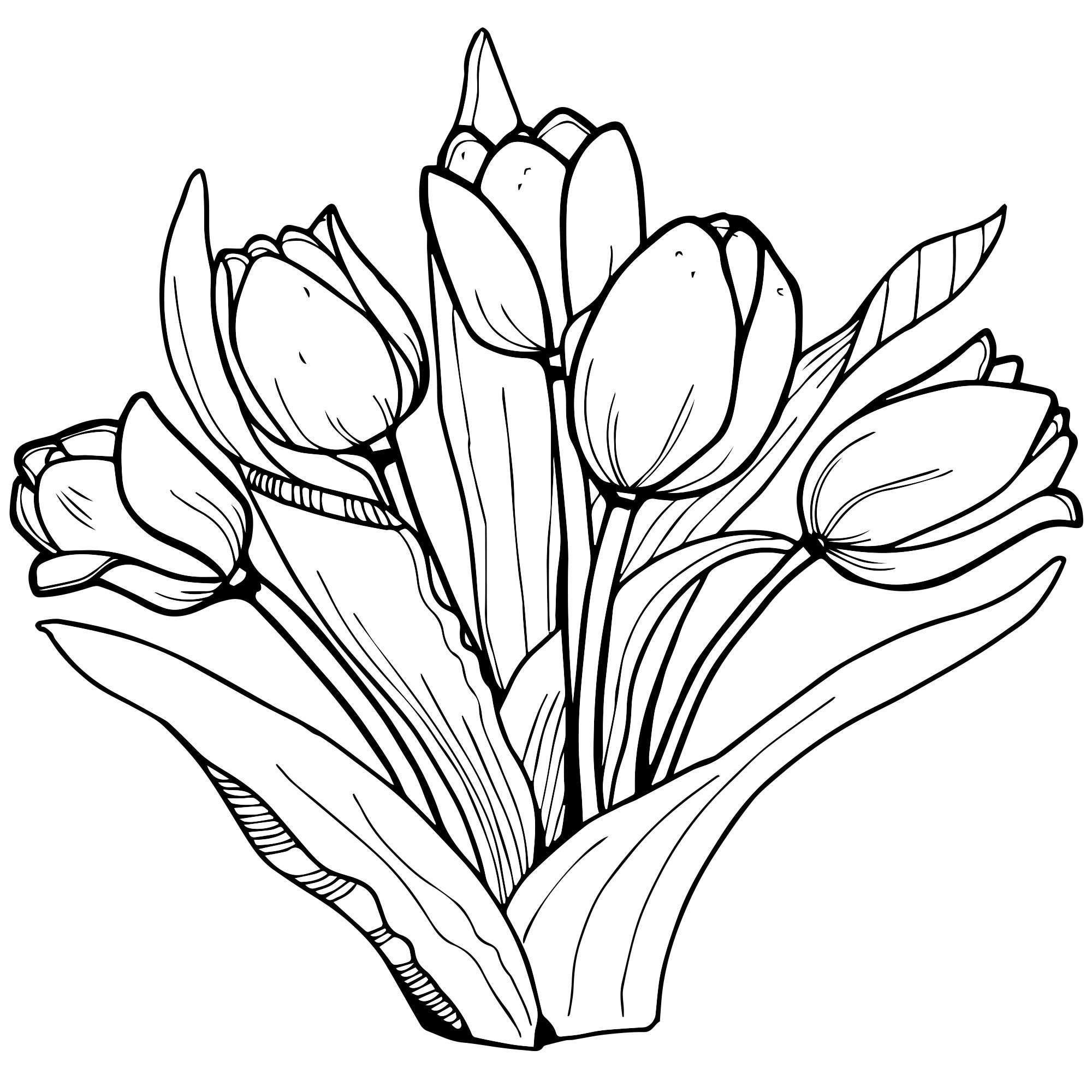 рисунки тюльпанов фото