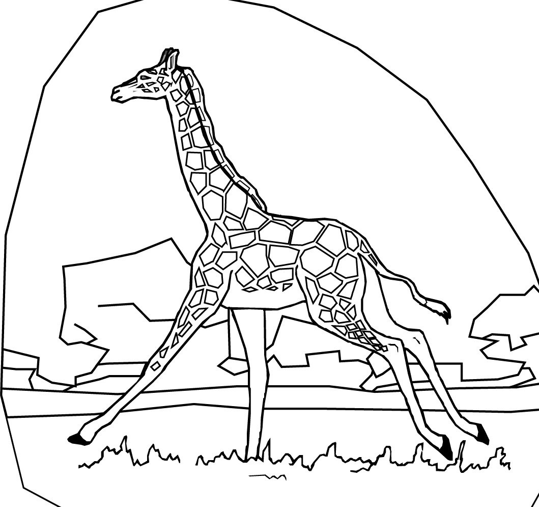 Жираф в Африке раскраска