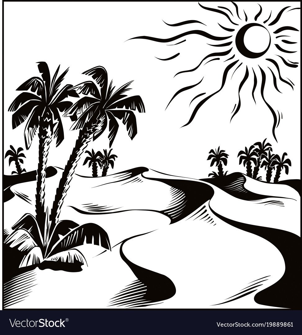 Графика пальмы Оазис
