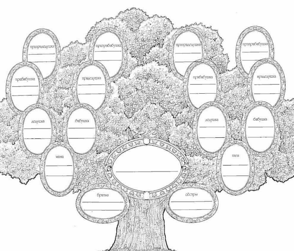Родословное дерево картинки