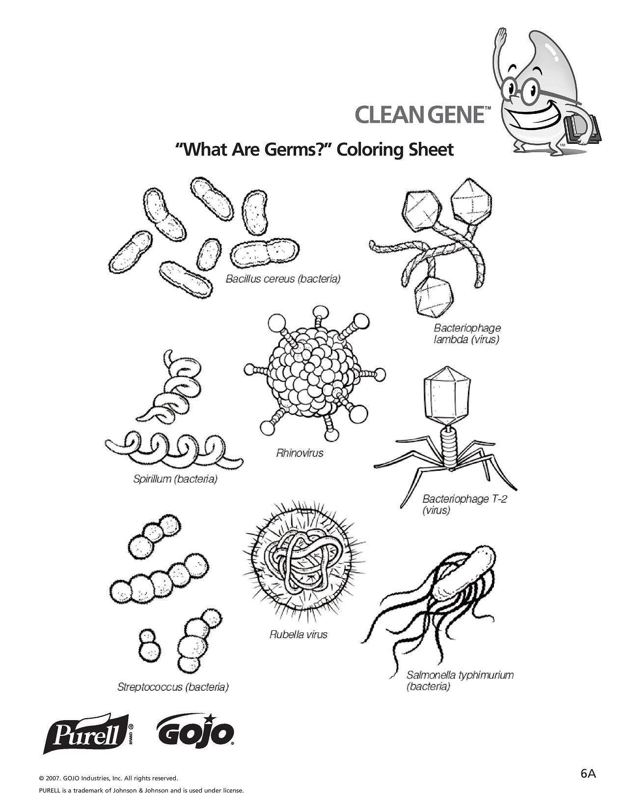 Микробы и бактерии вирусы задания