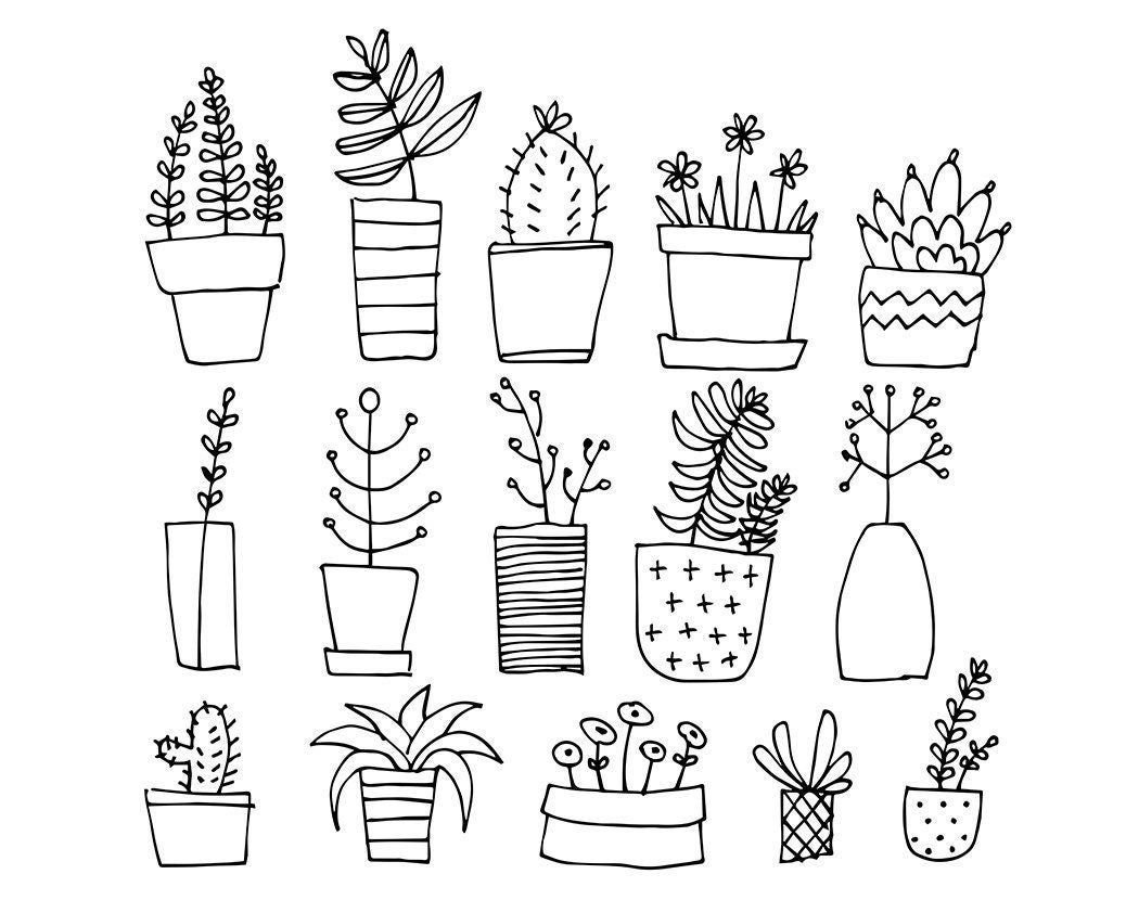 Рисунки для срисовки растения в горшках