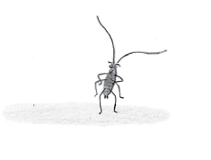 Огги тараканы раскрашивания