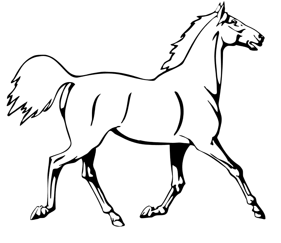 Коник печать. Раскраска. Лошади. Картинка лошадь раскраска. Лошадка раскраска для детей. Лошадь раскраска для детей.