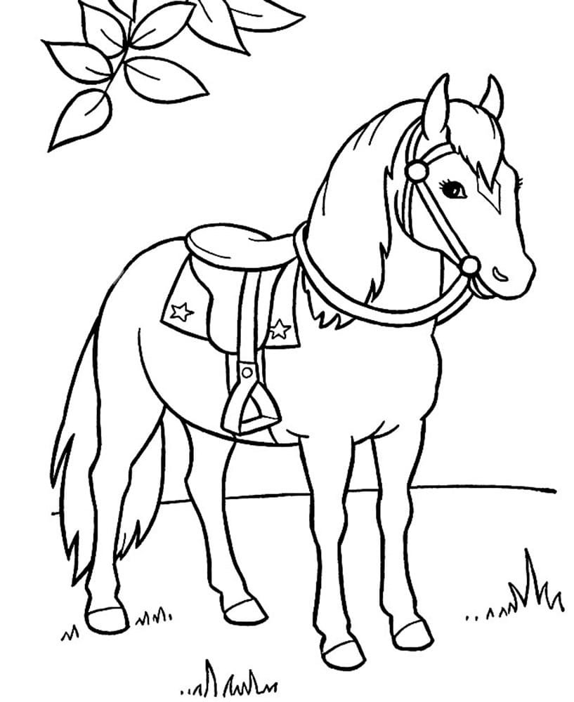 Раскраска конь