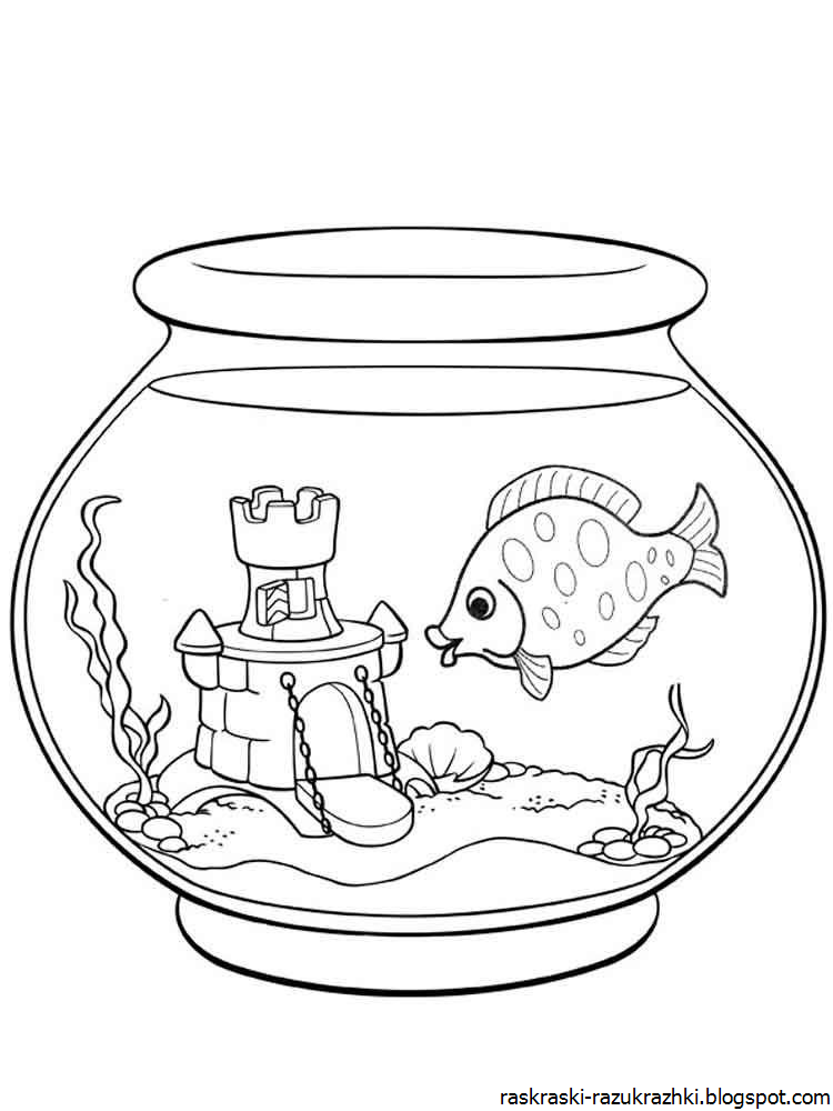 Раскраска аквариум с рыбками. Разукрашка аквариум с рыбками. Раскраска аквариум с рыбками для детей. Аквариумные рыбки раскраска для детей. Рыбы в аквариуме раскраска для детей.