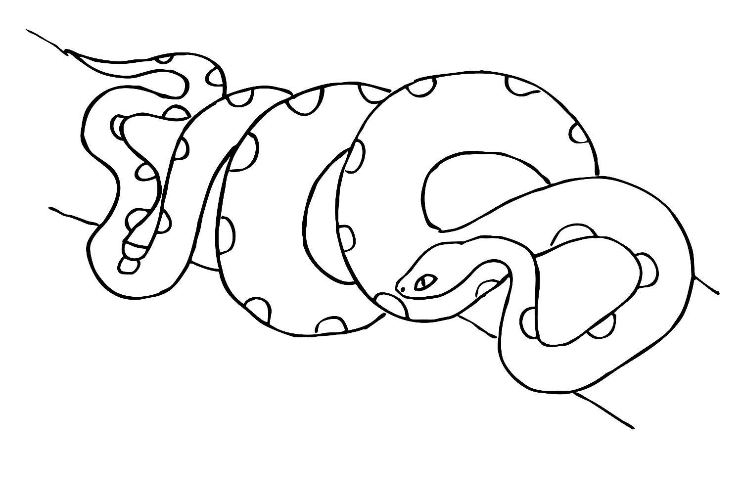 Удав рисунок. Змея питон раскраска. Змея раскраска. Удав раскраска для детей. Раскраска змеи для детей.