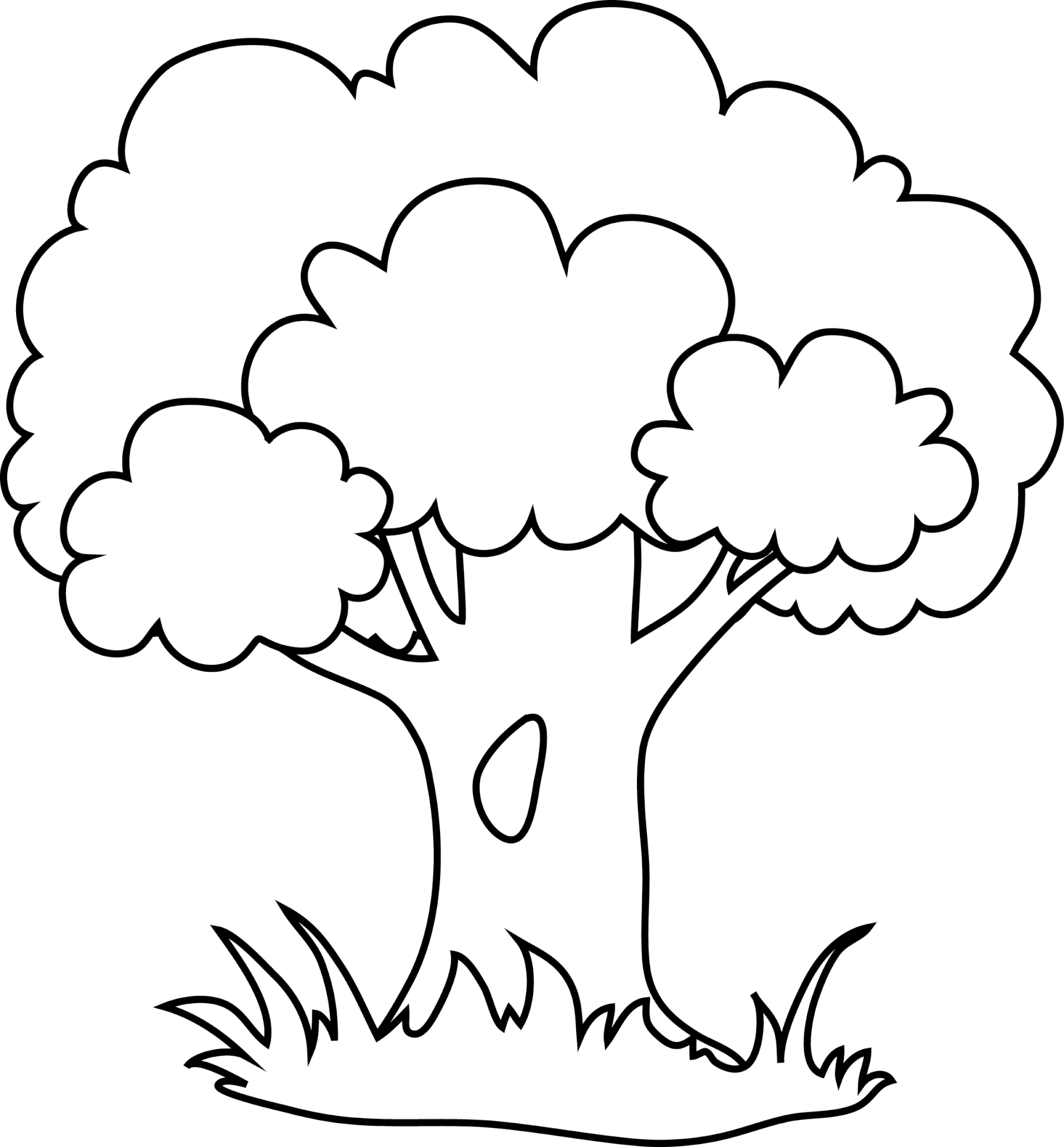 Аппликация дерево шаблон распечатать. Дерево раскраска. Дерево раскраска для детей. Дерево раскраска для малышей. Раскраска lthtdf для детей.