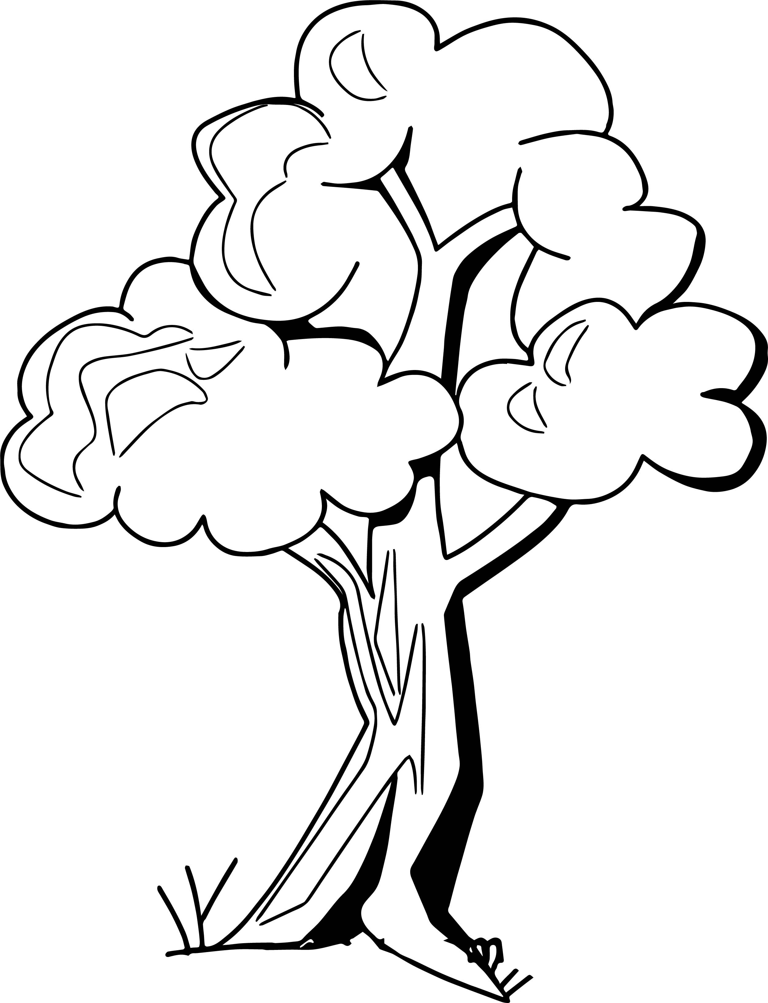 Дерево рисунок для детей