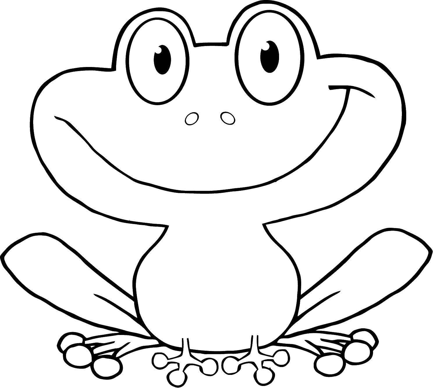 Лягушка картинка для детей для раскрашивания