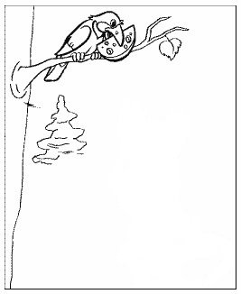 Иллюстрация к басне ворона и лисица карандашом