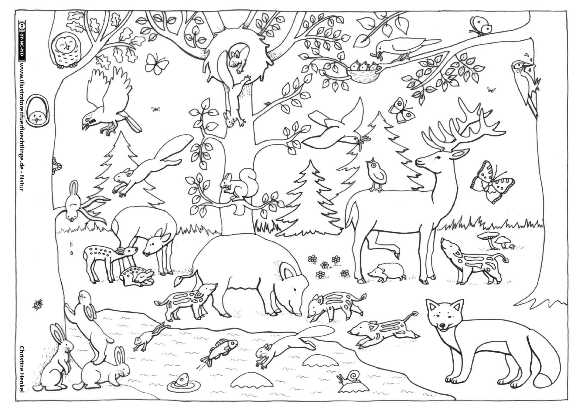 Раскраска животные леса