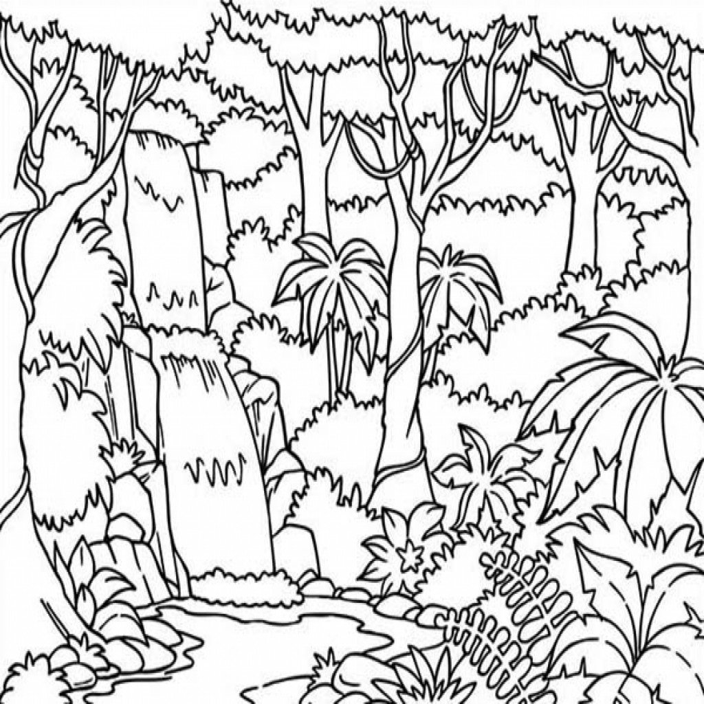 Джунгли растения раскраска