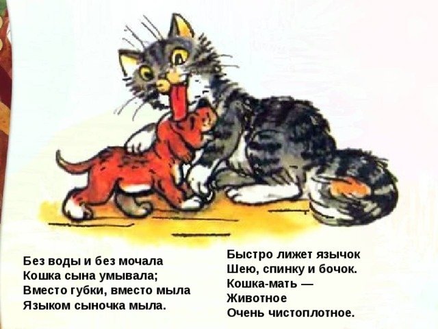 Кошкин щенок рисунок