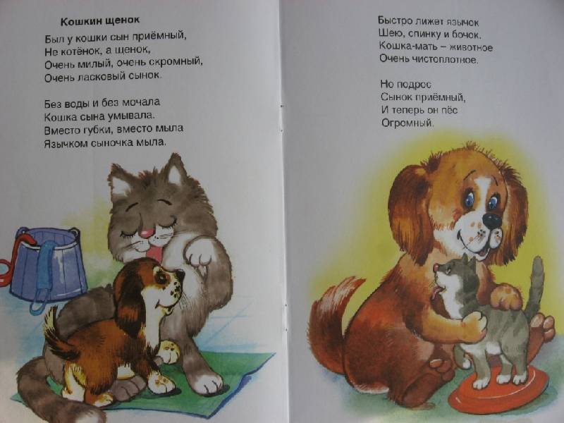 Мама и собака рассказ. Стих кошка и щенок. Кот и щенок стихотворение. Стих про котят и щенят. Стихи про кошек и собак для детей.