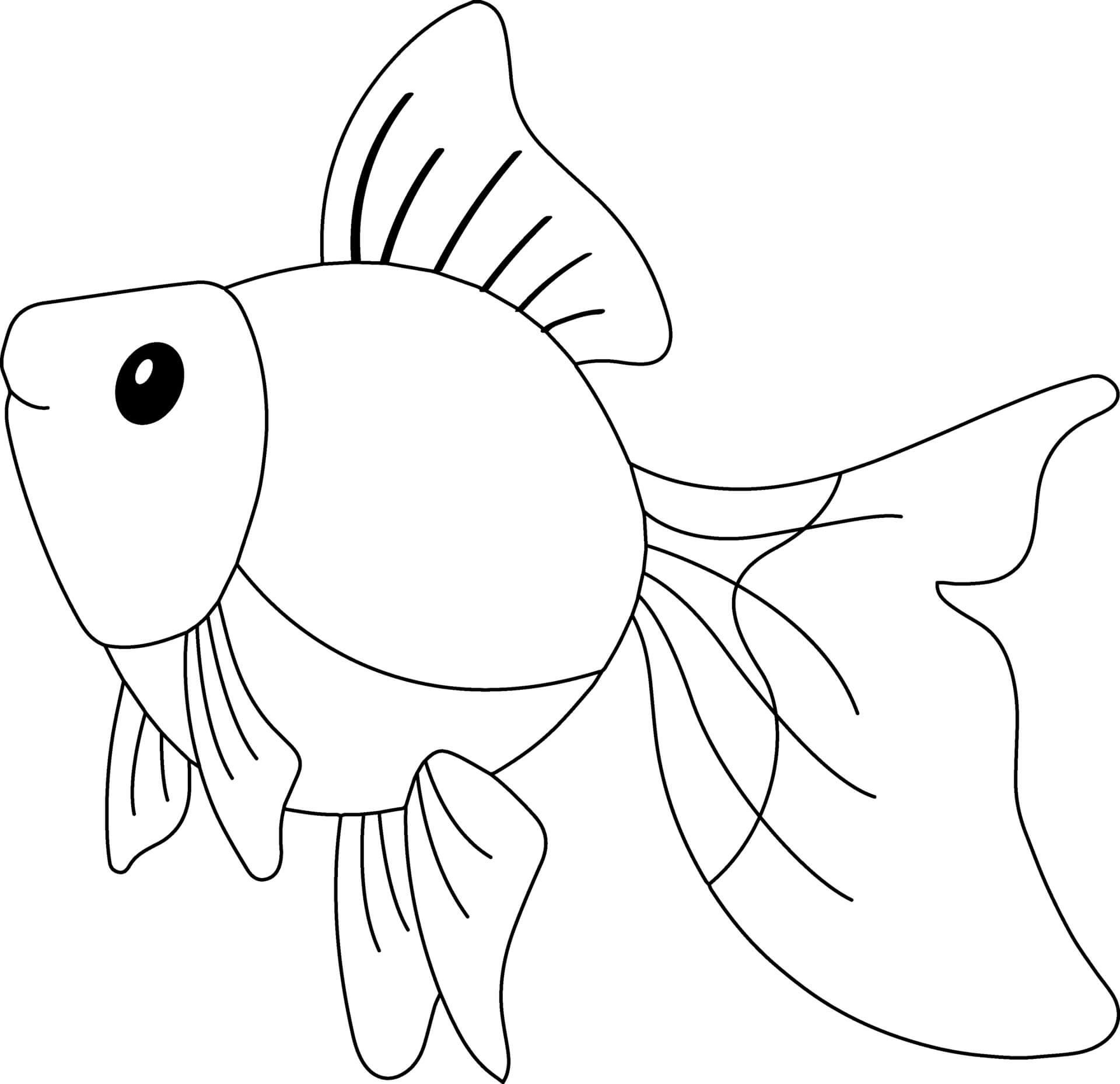 Раскраска Золотая рыбка для детей 6-7 лет
