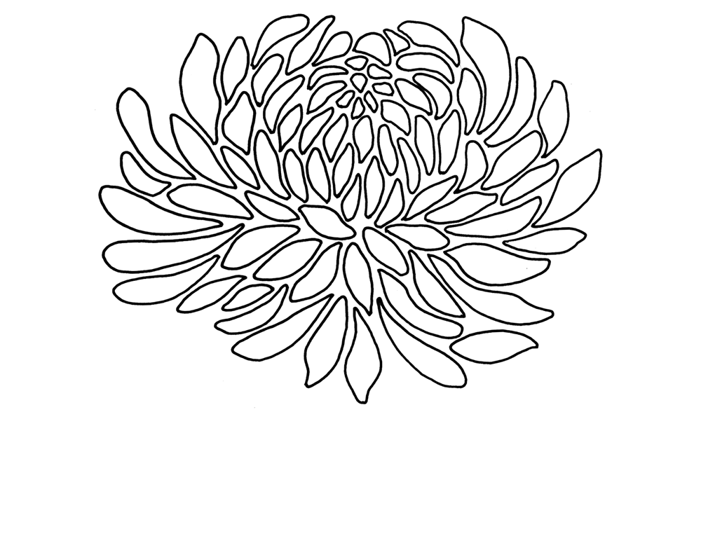 Шаблон хризантемы