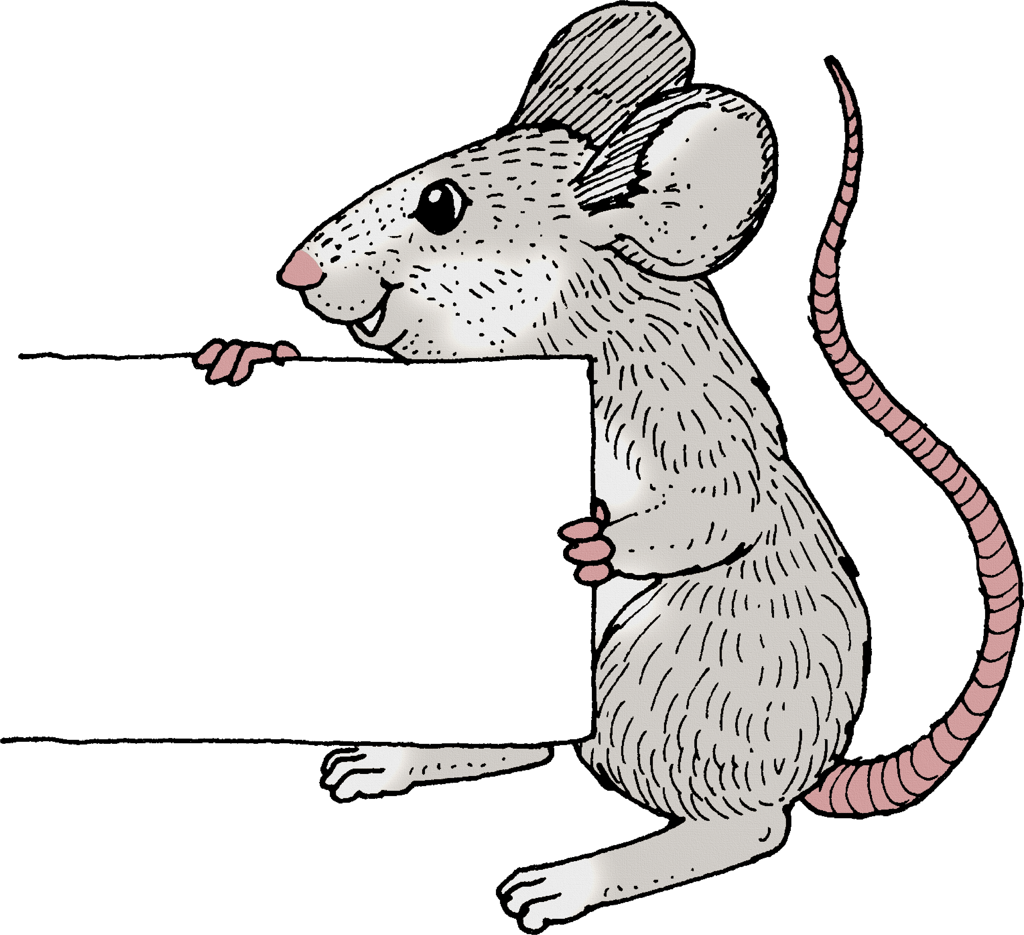 Рис мыши. Мышка с цифрами сбоку. Мышонок рисунок. Мышка на прозрачном фоне. Мышка картинки для детей нарисованные.