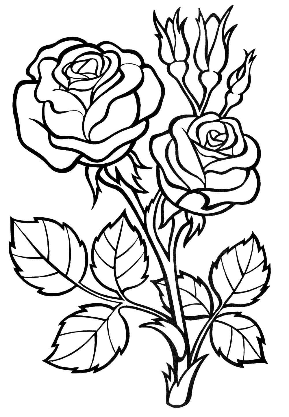 рисунок розы картинки для детей