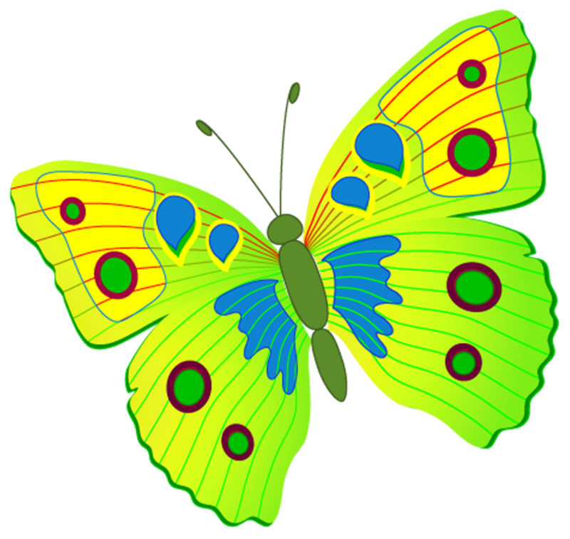 Разноцветные бабочки. Бабочка рисунок. Бабочки цветные.