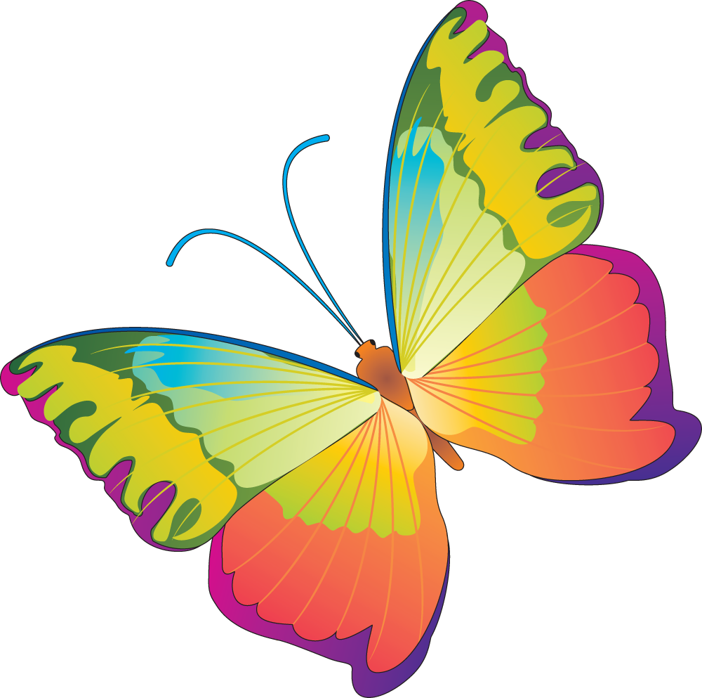 Бабочка в садик. Бабочки цветные. Бабочка рисунок. Разноцветные бабочки на белом фоне. Цветные бабочки для детей.