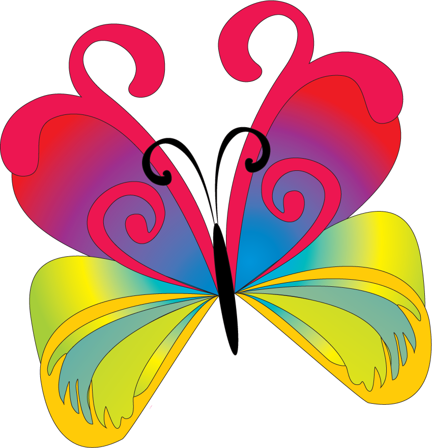 Бабочки для оформления группы. Разноцветные бабочки. Цветные бабочки для детей. Бабочка рисунок для детей. Бабочка картинка для детей.