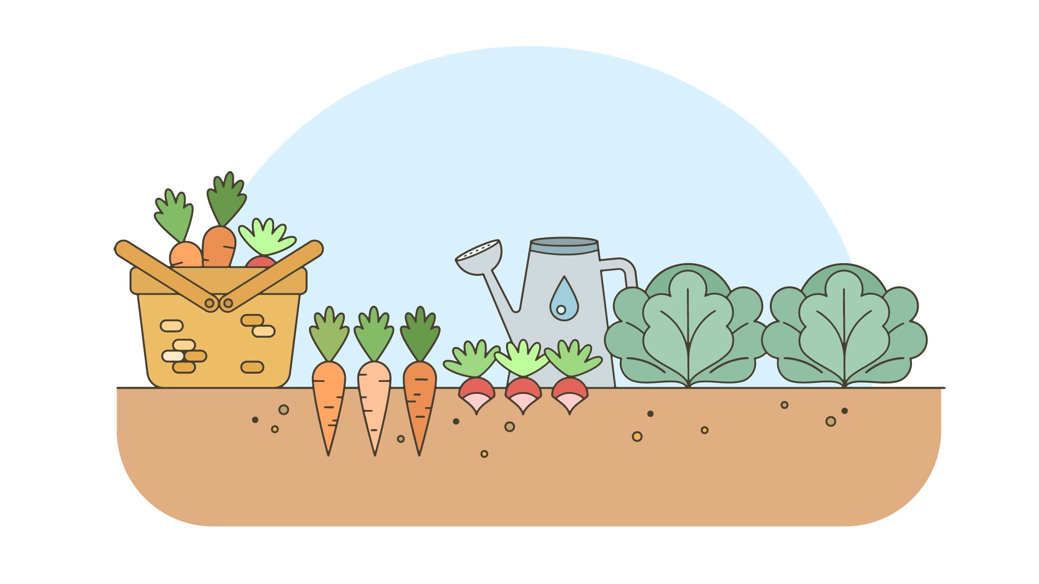 Plantar hortalizas
