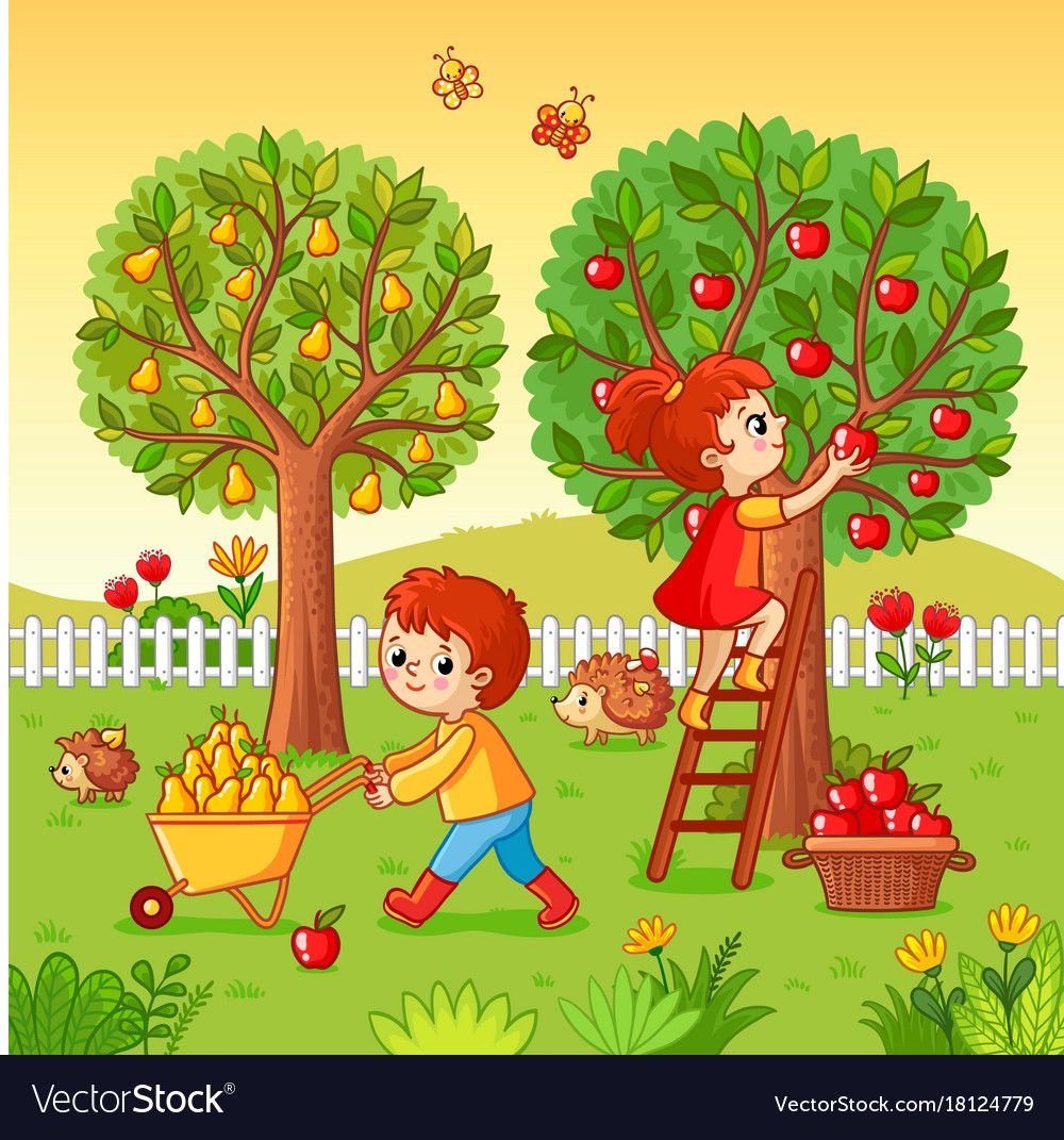 Деревья в саду с фруктами детский сад