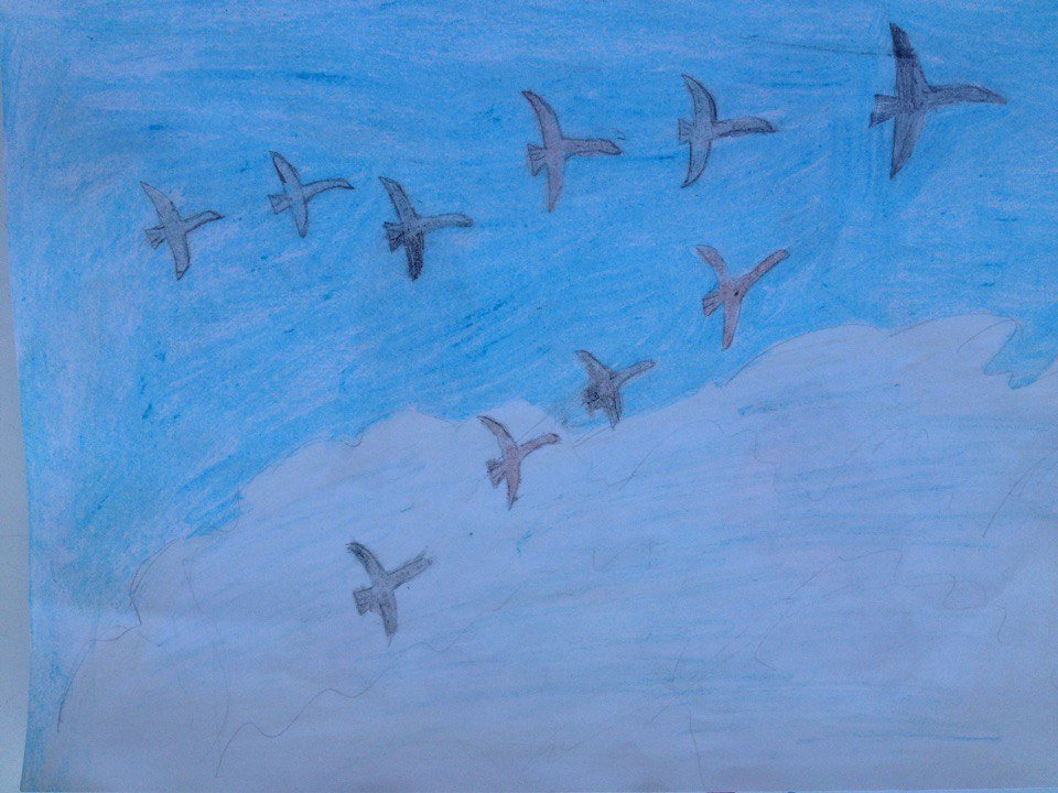 Занятие рисование перелетные птицы