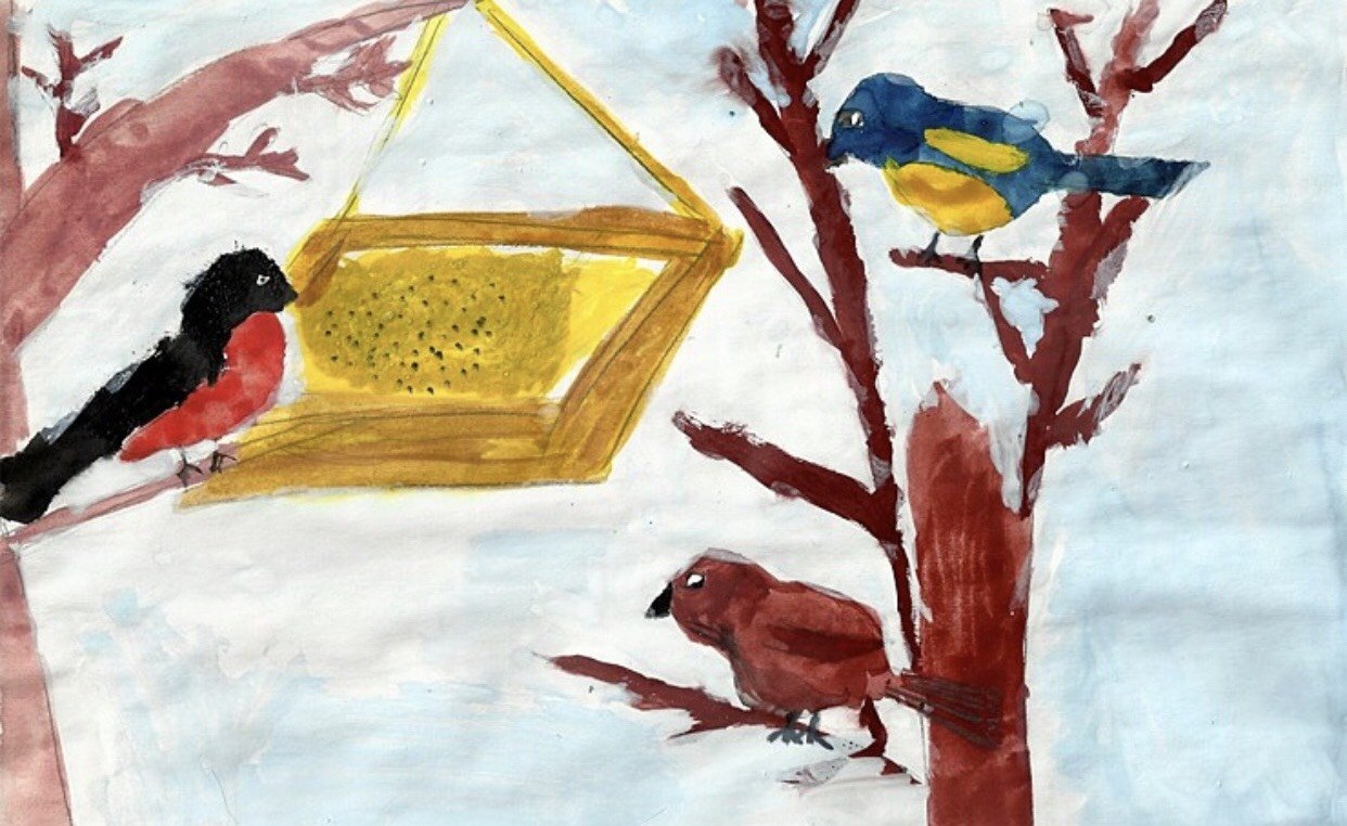 Тема пернатые друзья средняя группа. Рисование птицы на кормушке. Рисование зимующие птицы. Рисование птицы на кормушке старшая группа. Кормушка для птиц.