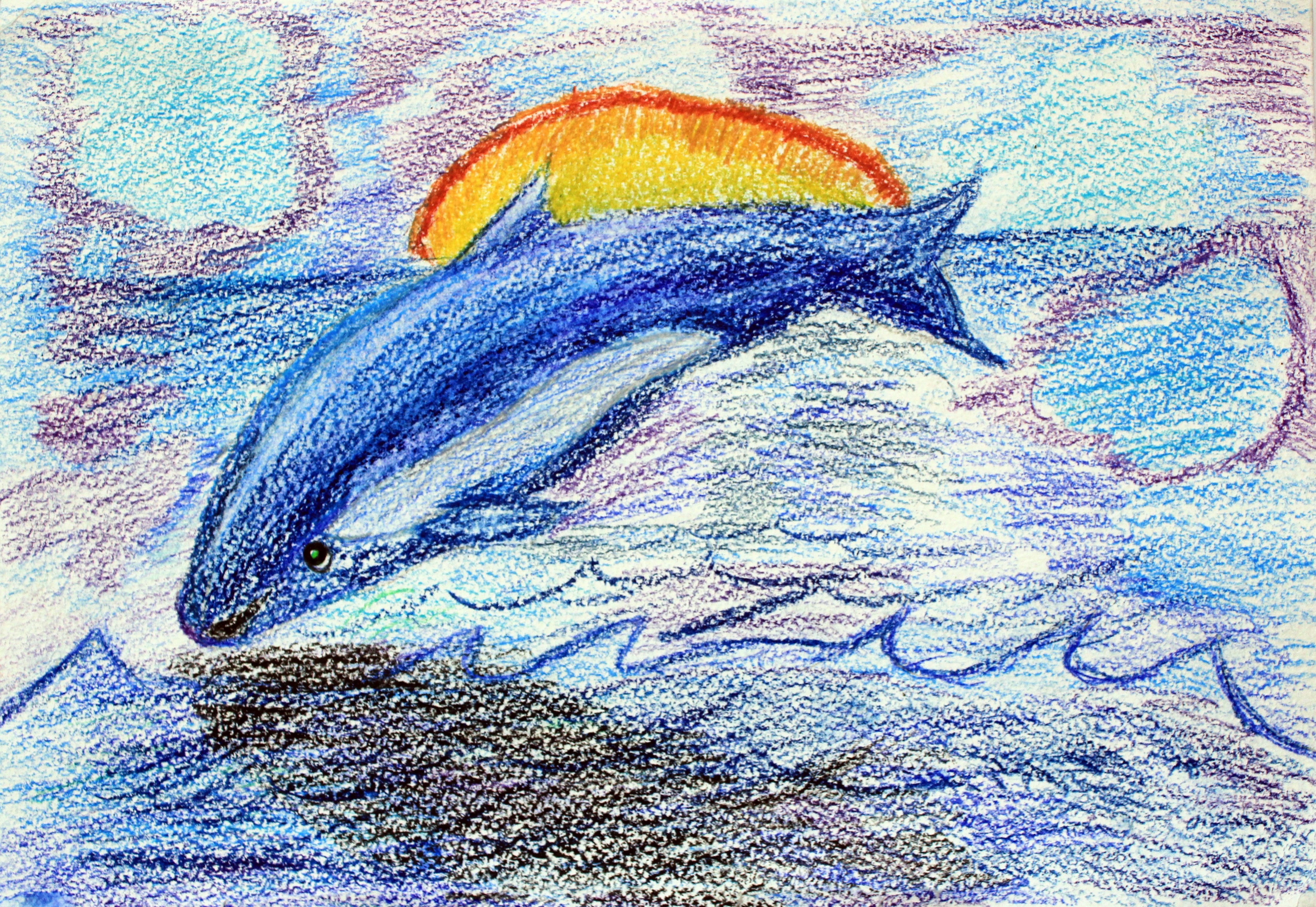 Детские рисунки дельфинов