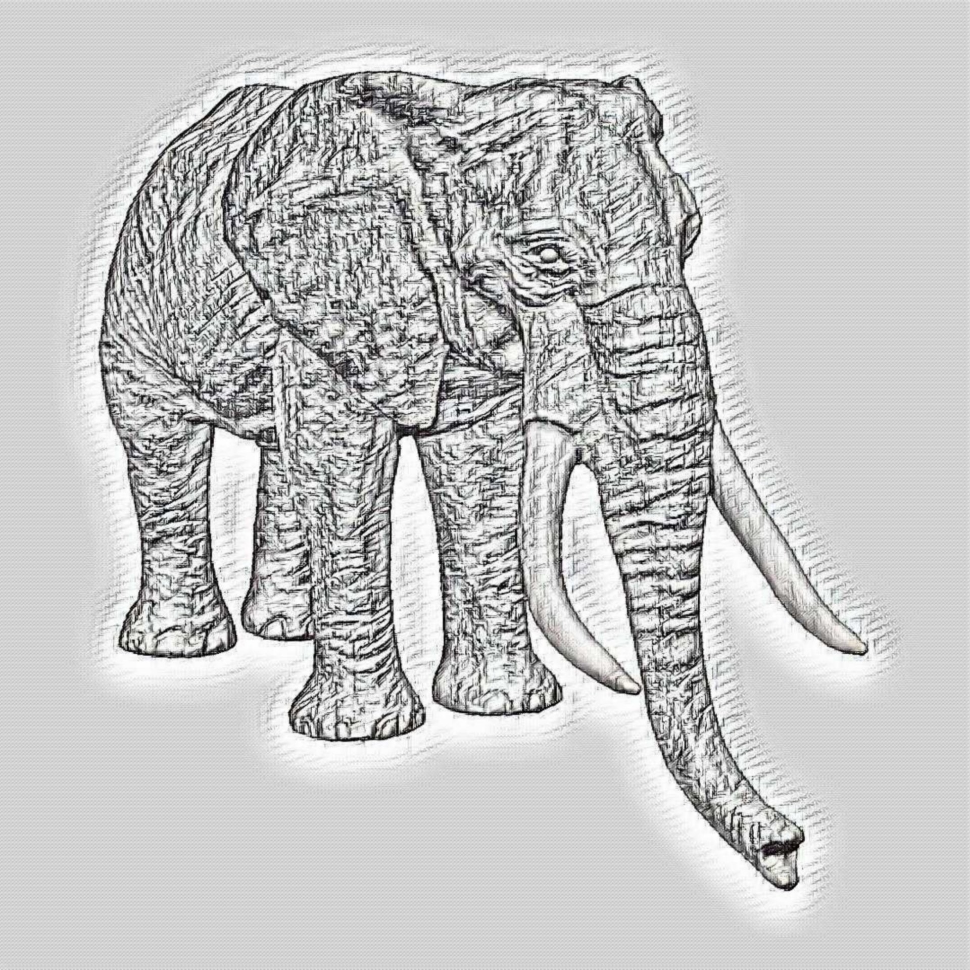 Африканский слон карандашом