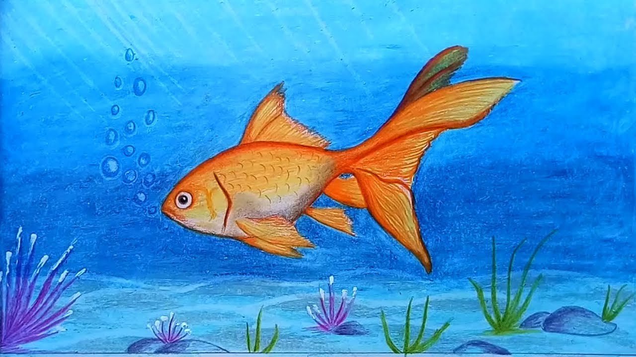Рыбы рисунок 3 класс. Рыбка рисунок. Рыбка для рисования детям. Рисование Золотая рыбка. Красивые рыбы изо.
