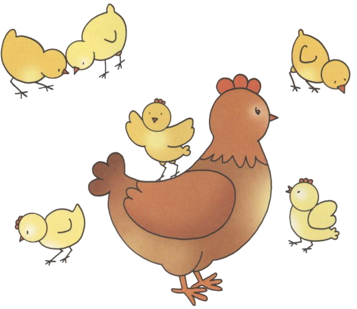 Курочки подвижная игра. Занятие "Курочка и цыплята" Бондаренко. Цыпленок рисунок. Цыпленок рисунок для детей. Курица с цыплятами рисунок.