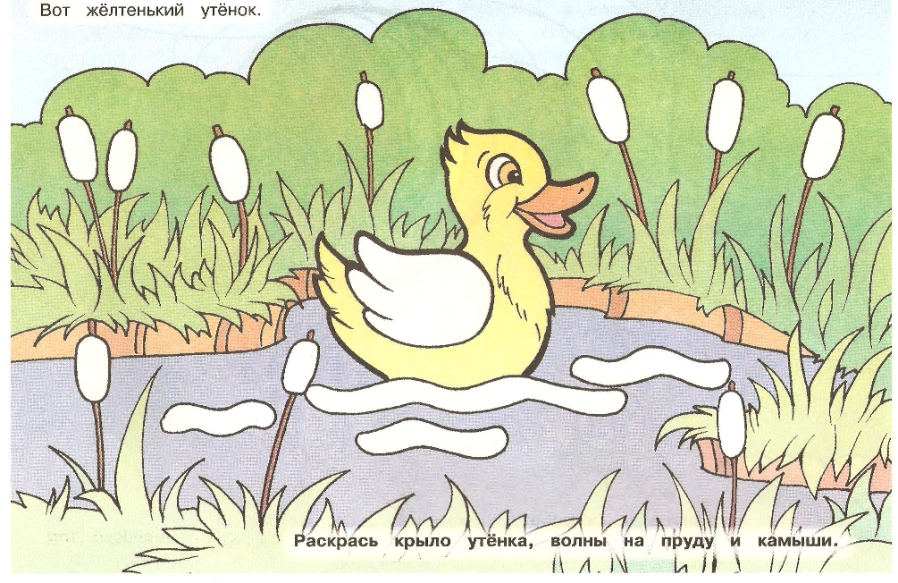 Утенок на болоте. Уточки в пруду рисунок. Рисование уточки в пруду. Рисование утки в пруду. Утки на пруду рисунок для детей.