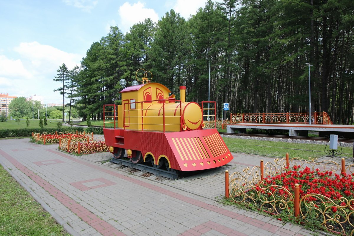 Детская железная дорога новомосковск фото