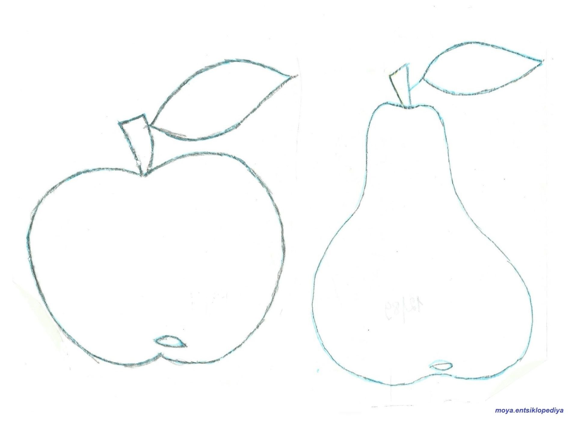 Рисование яблоко и груша