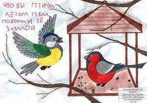 Рисунок на тему берегите птиц