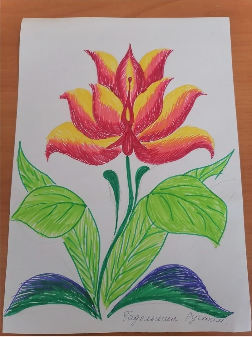 Нарисовать Аленький цветочек