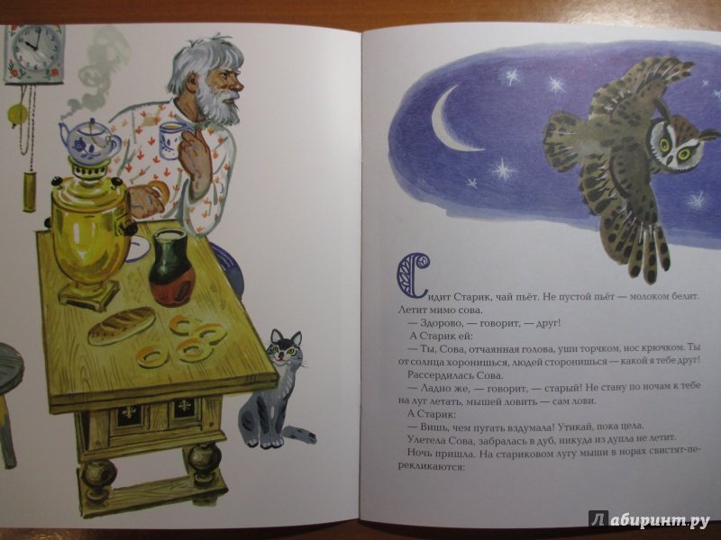 Детские рисунки Сова Бианки. Иллюстрация к рассказу Совушка детская. Рисунок с казке Бианки Сова. Бианки Сова читать с картинками.