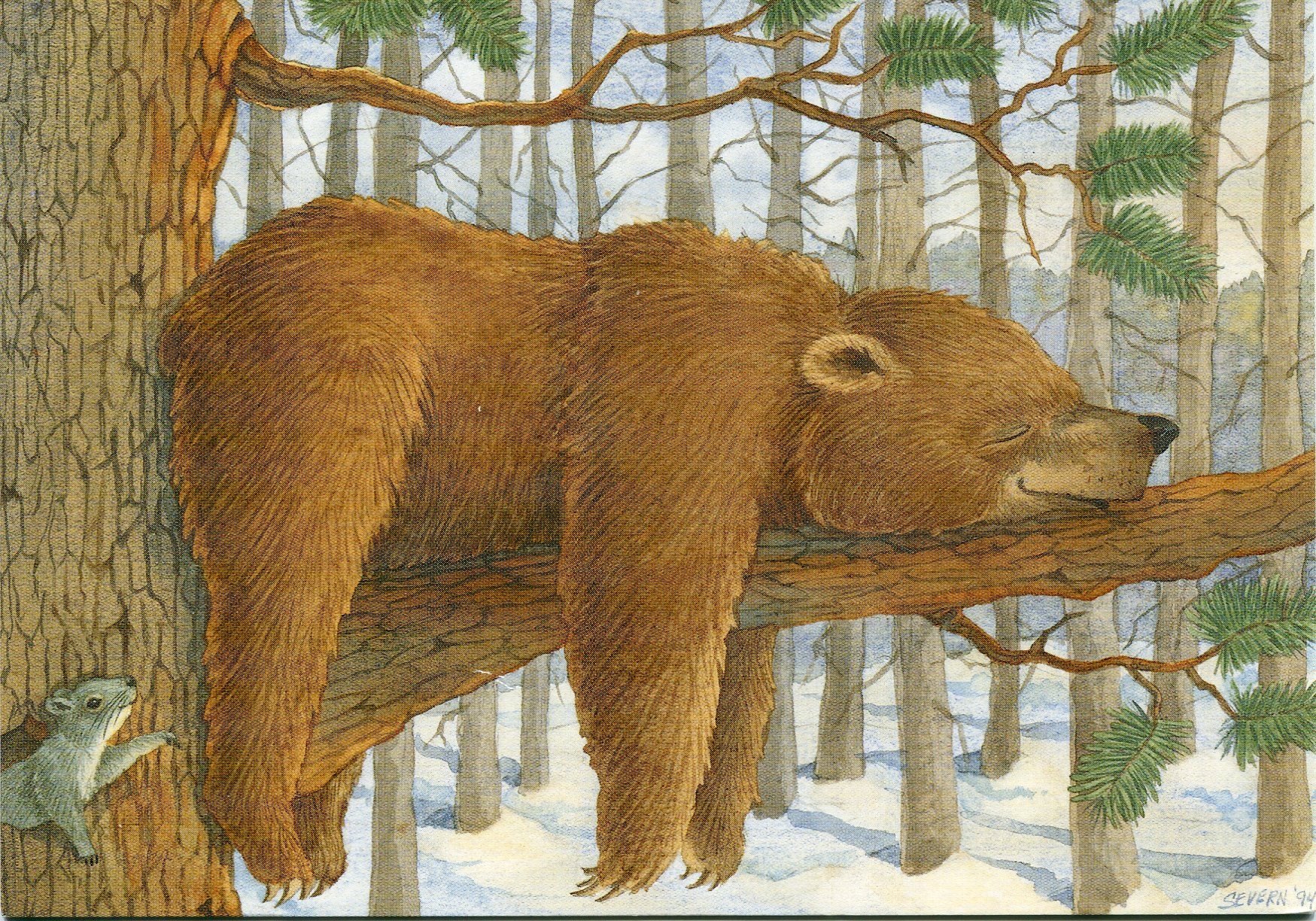 Медвежонок спит на дереве