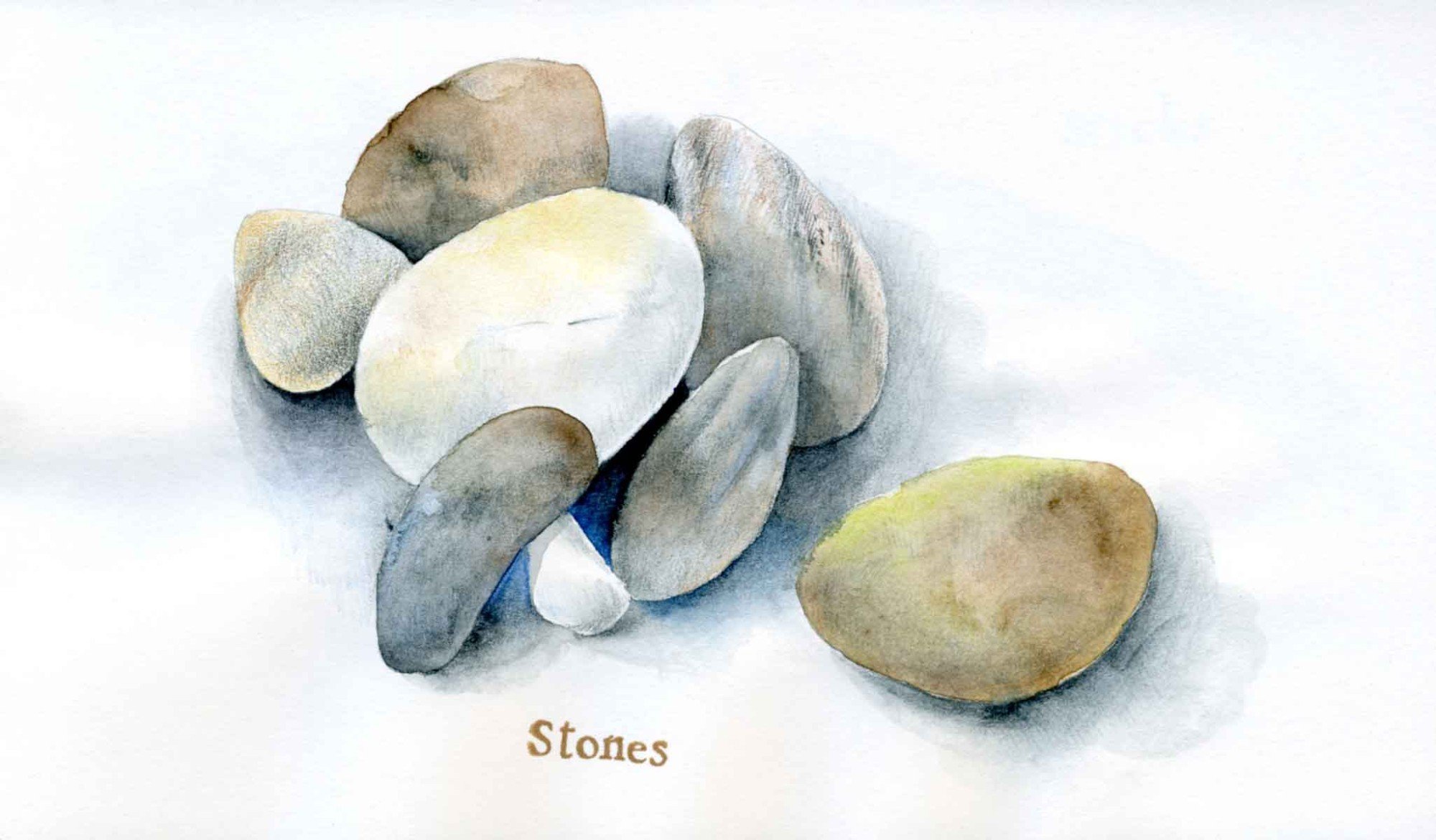 Морские камни акварелью