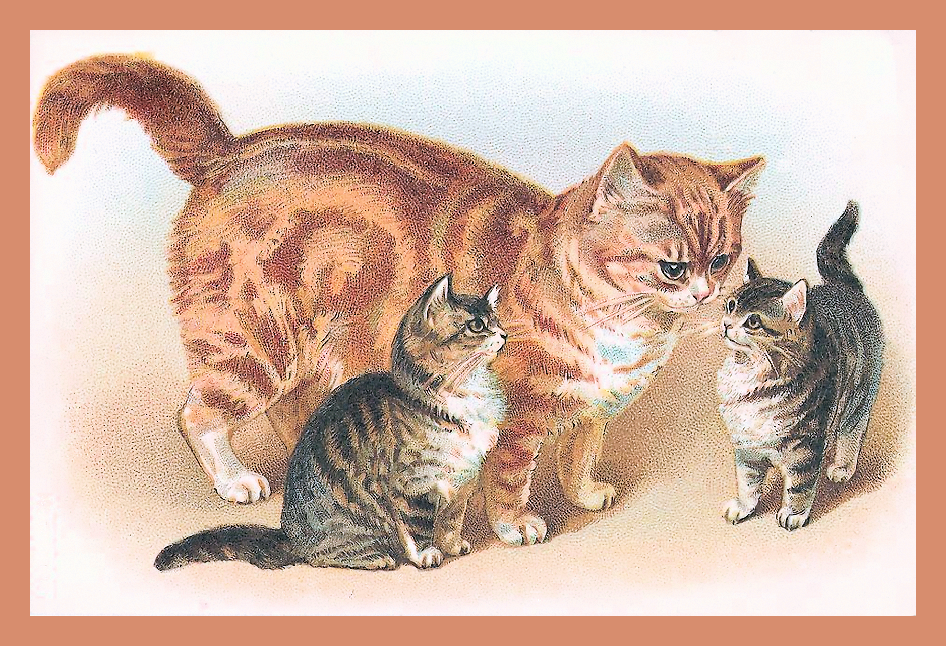 Кошка и котенок для детей. Картина для детей кошка с котятами. Кошка иллюстрация. Сюжетная картина кошка с котятами. Рассказ по картине кошка с котятами