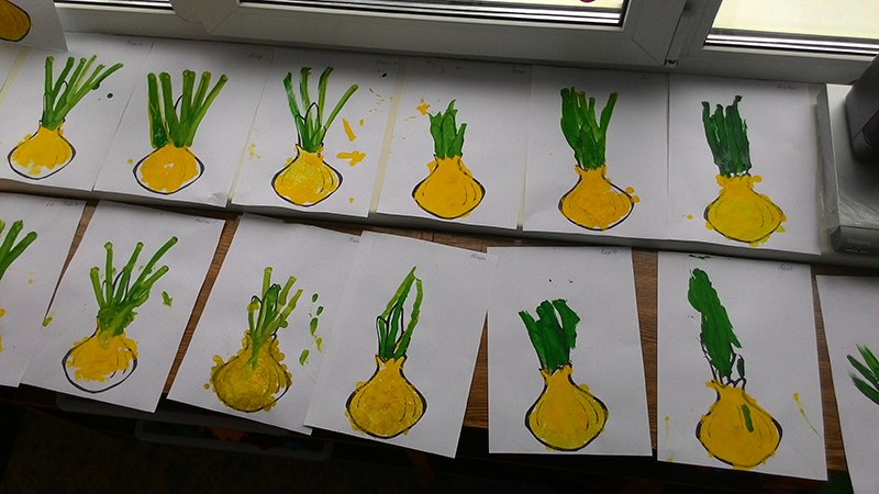 Лук картинки для огорода в детском саду