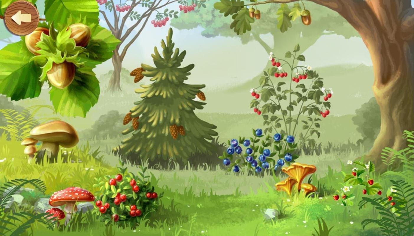 Сказочный лес для детей